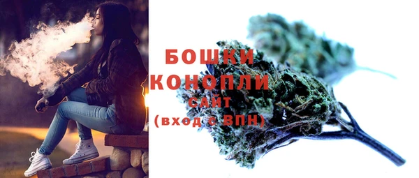 шишки Верея