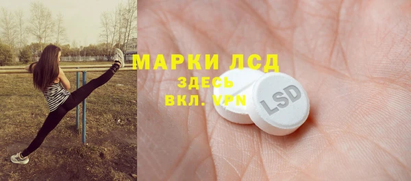 шишки Верея