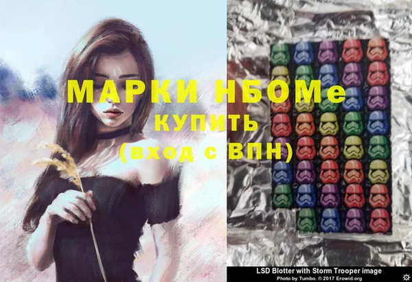 шишки Верея