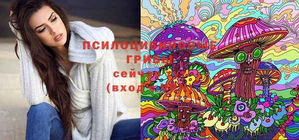шишки Верея