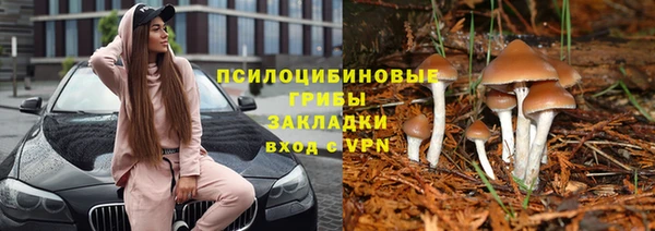 шишки Верея