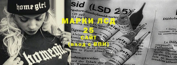 шишки Верея