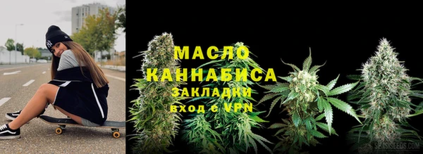 шишки Верея
